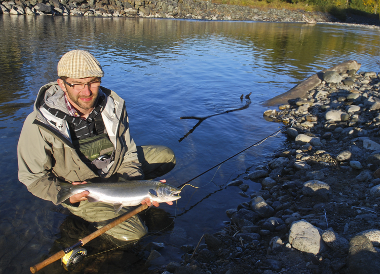 Another beautiful wild fella..