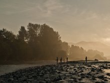 Every day from the sunrise... Super busy pool..