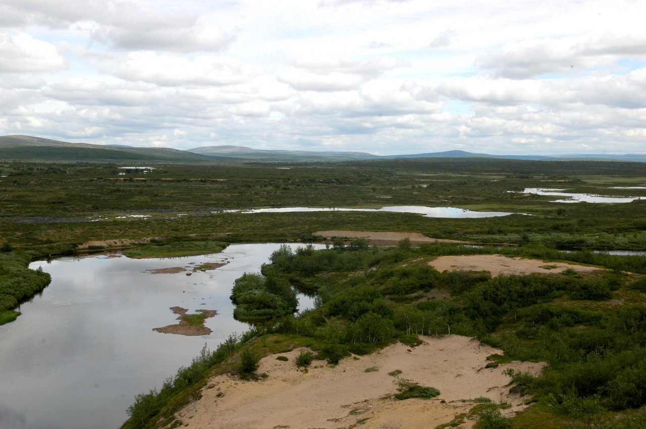 Swedish Lapland - Rostu