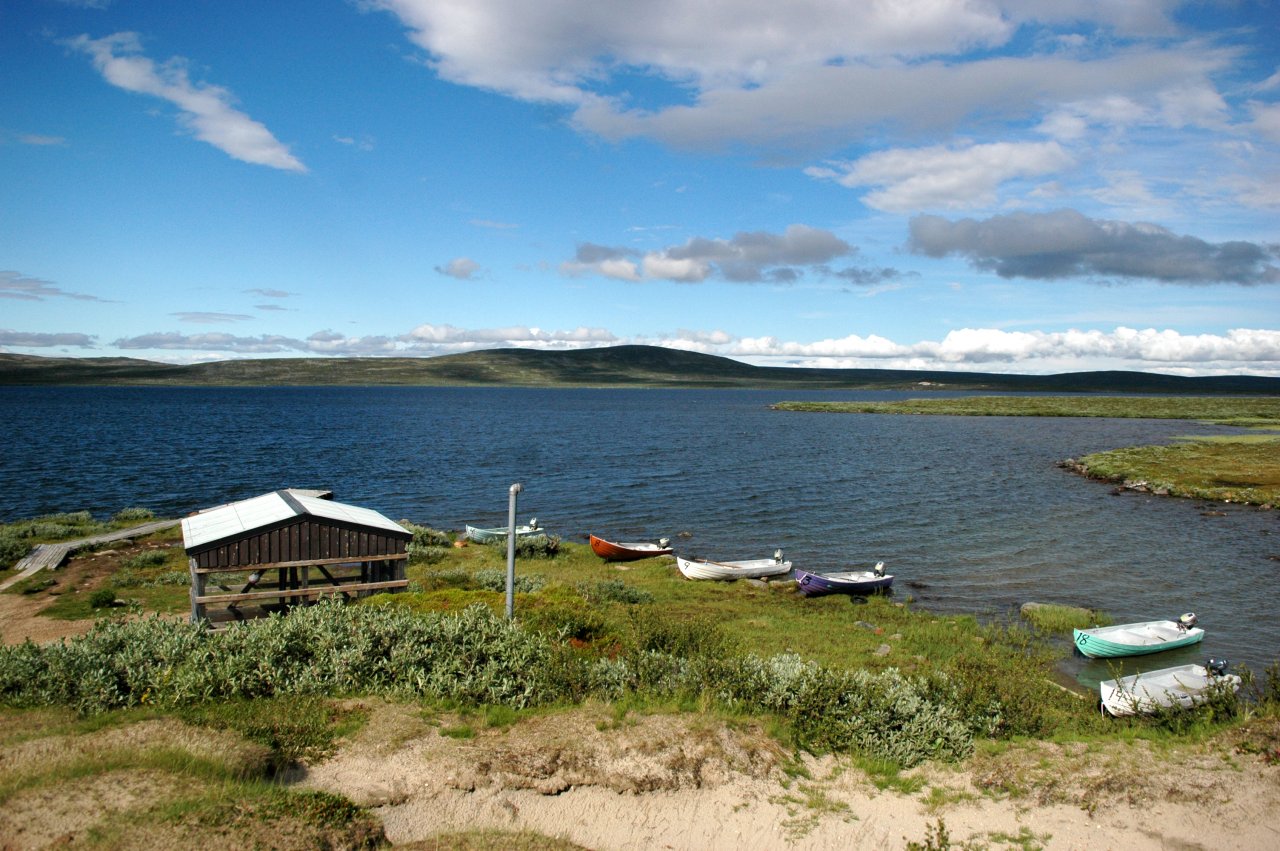 Swedish Lapland - Rostu