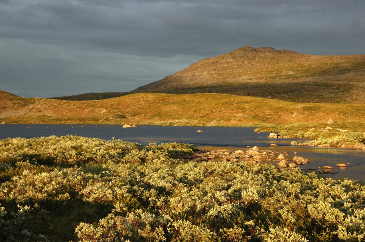 Swedish Lapland - Rostu
