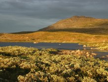 Swedish Lapland - Rostu