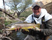Beautiful wild brown trout caught in Lesotho on a Zak