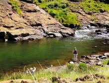 Prospecting Paradise