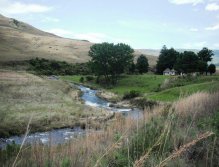 Brown trout abound all around