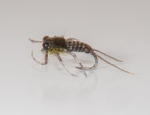 "Angora green nymph"