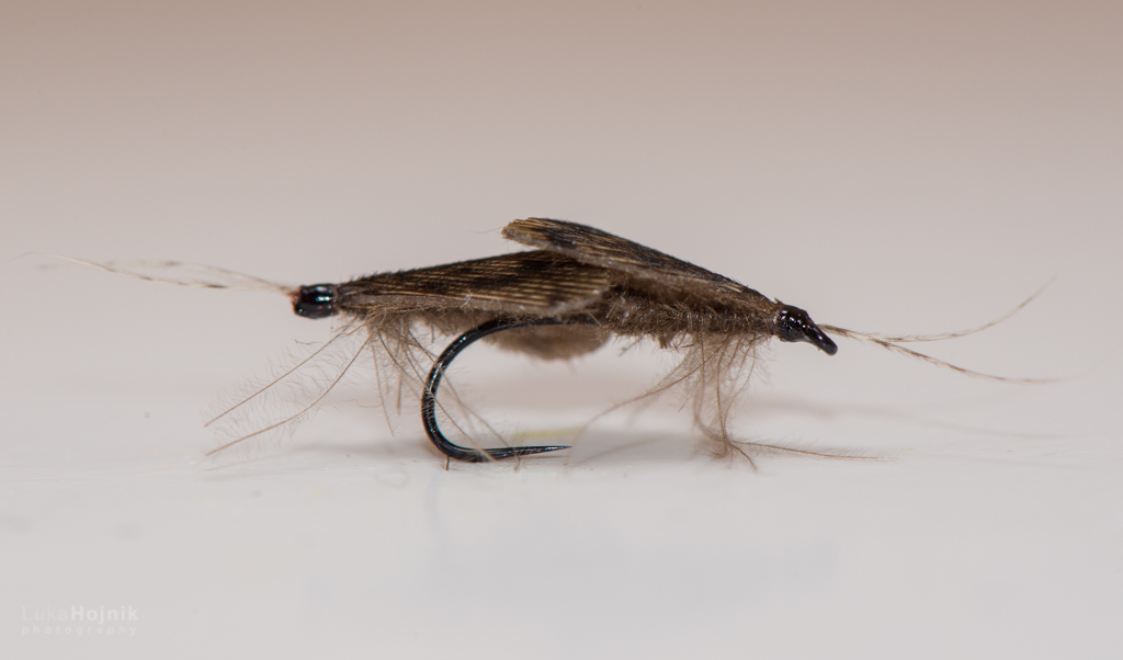 Mating Caddis