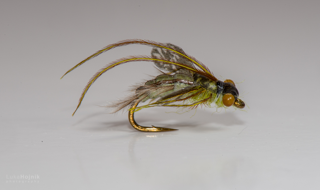 "Caddis pupa"