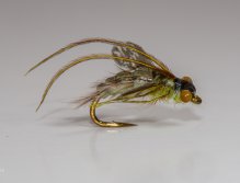 "Caddis pupa"
