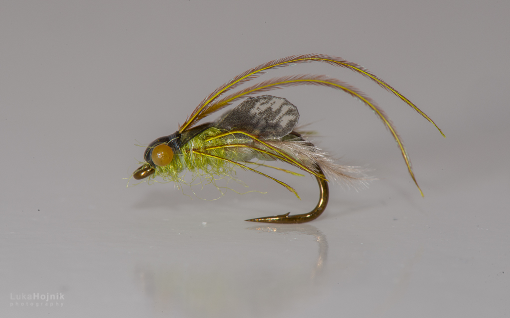 "Caddis pupa"
