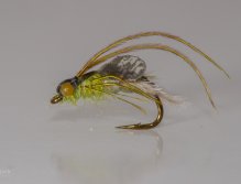 "Caddis pupa"