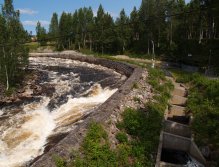 Byske - Salmon ladder