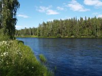 Salmon Pools of Byske River, Sweden