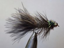 Peackock chenille variant