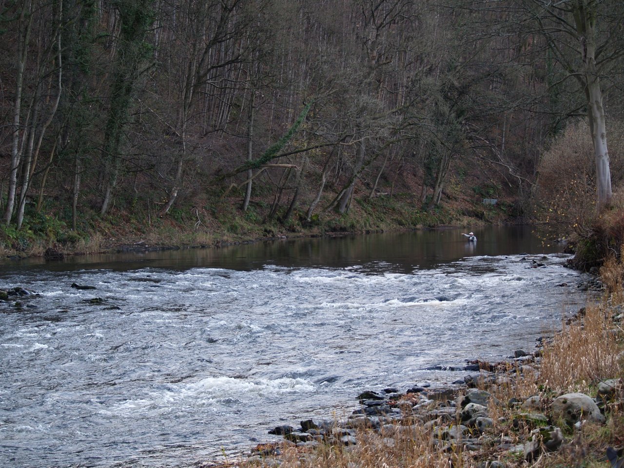 Fishing the deep pool
