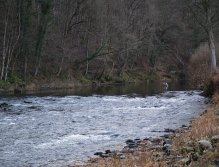 Fishing the deep pool