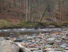 Dee below Llangollen