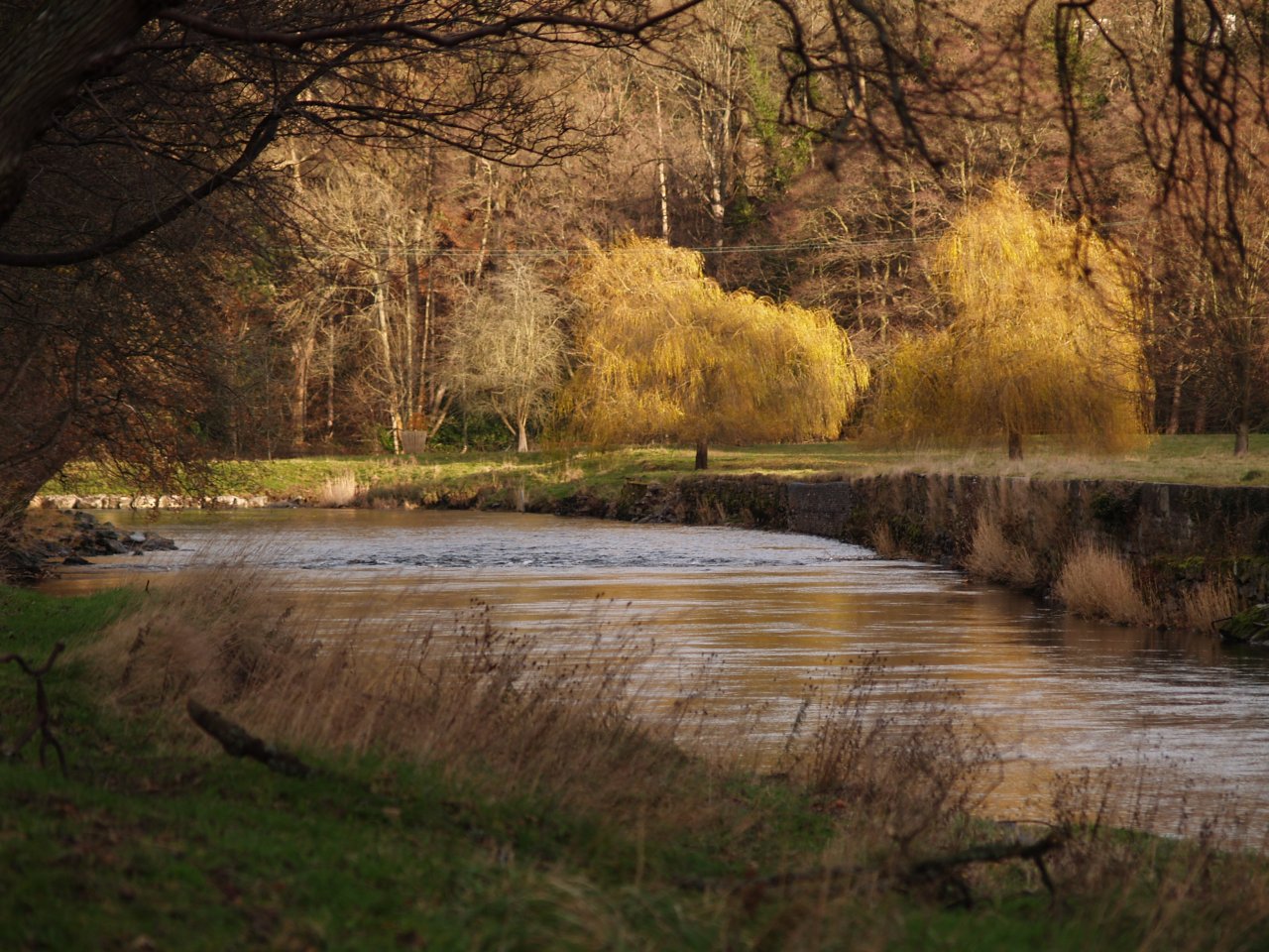 Nice stretch below Llangollen