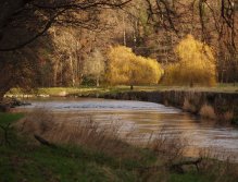 Nice stretch below Llangollen