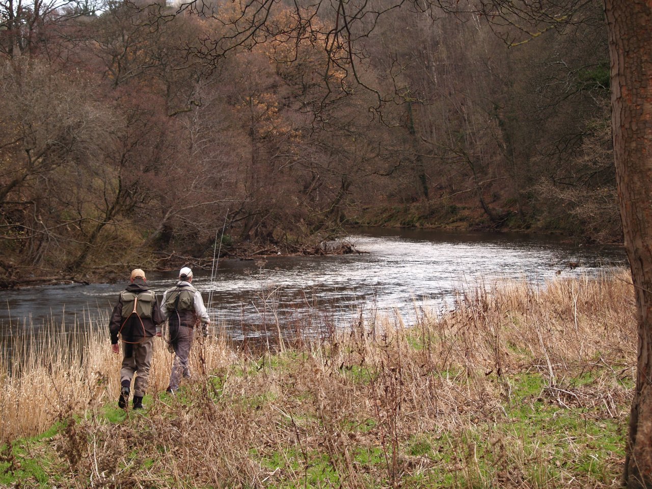 On the way to the river