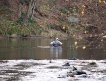 Fish from the deep water in the net