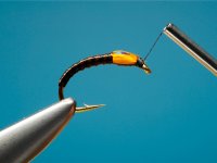 Fly tying Flexi Buzzer