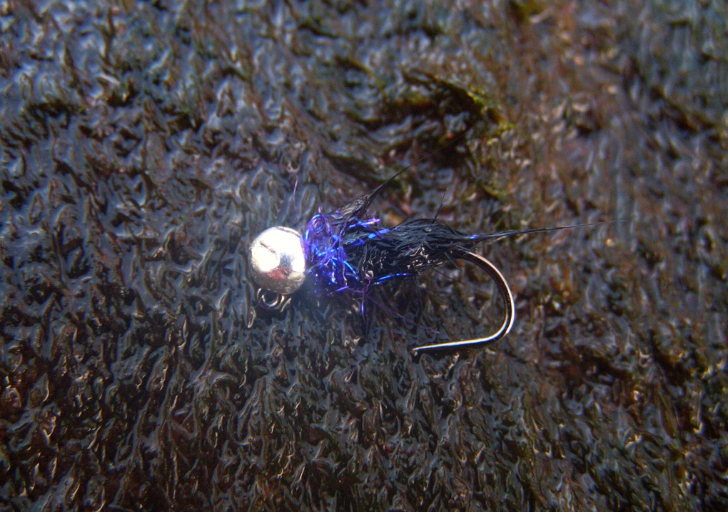 Black & Purple Jig