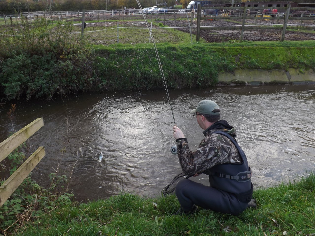 Landing another fish