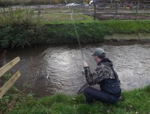 Landing another fish