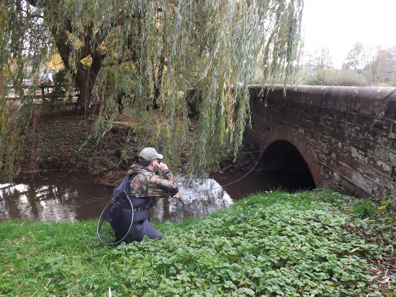 Targeting the fish under the bridge