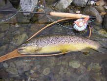 The Mastallone River