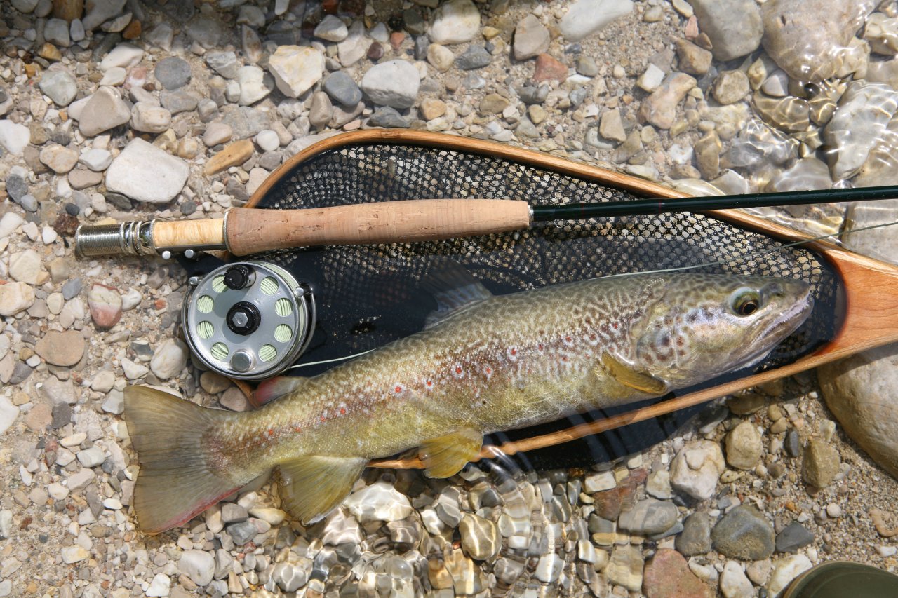 The Mastallone River