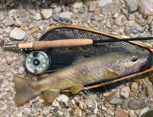 The Mastallone River