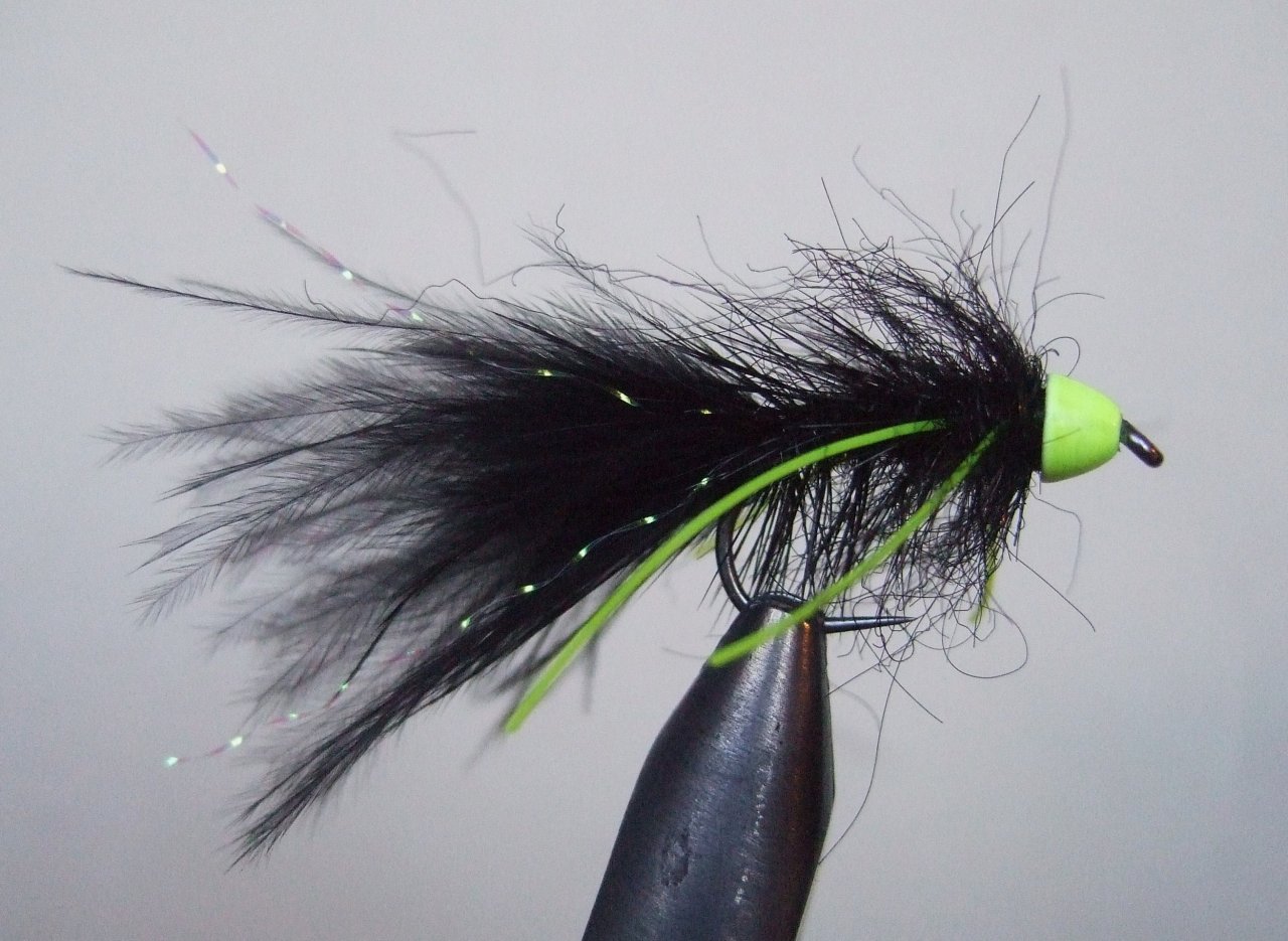 Montana Conehead Octopus Variant