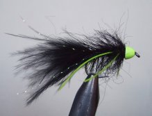 Montana Conehead Octopus Variant