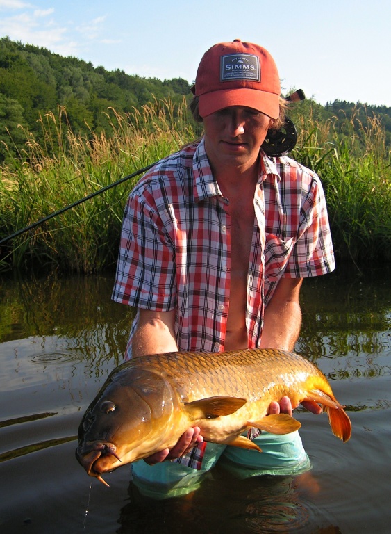 My friend's Summer Gold.