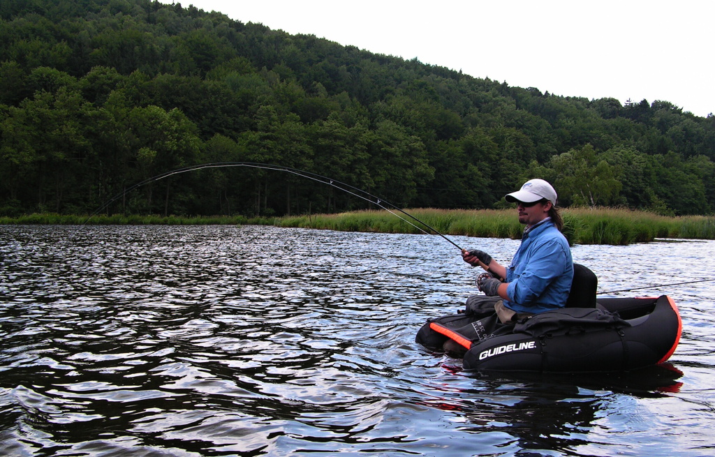 Fighting with the unknown beast.