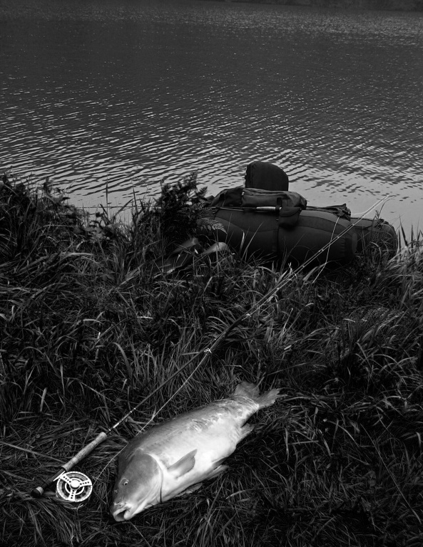 Still life with my buddy Guideline Drifter.