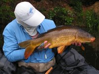 Summer Carp On The Fly - Gallery