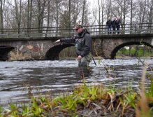 Nymphing under the bridge