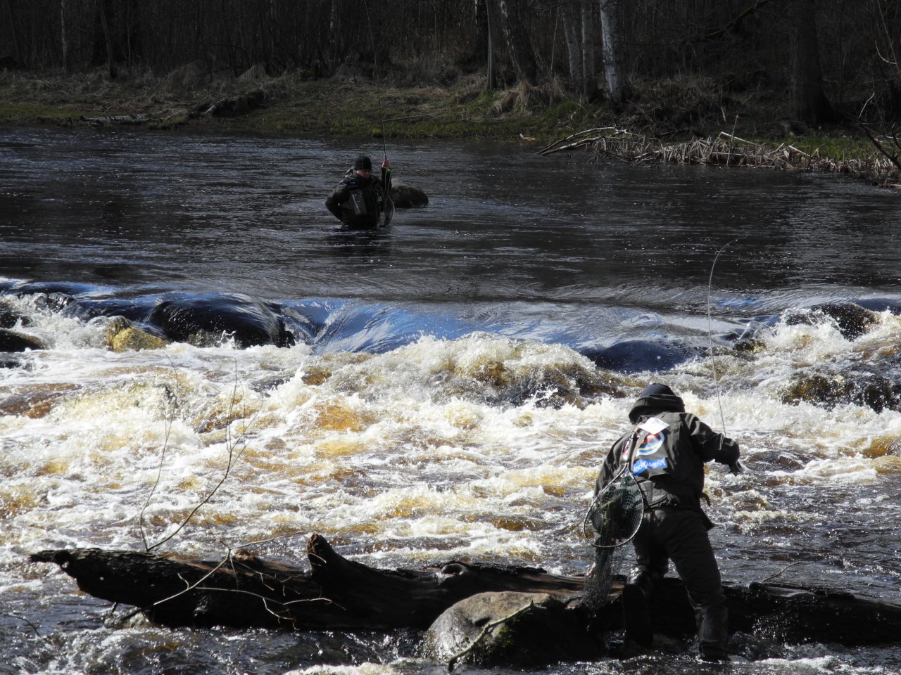 Fishing the rapids
