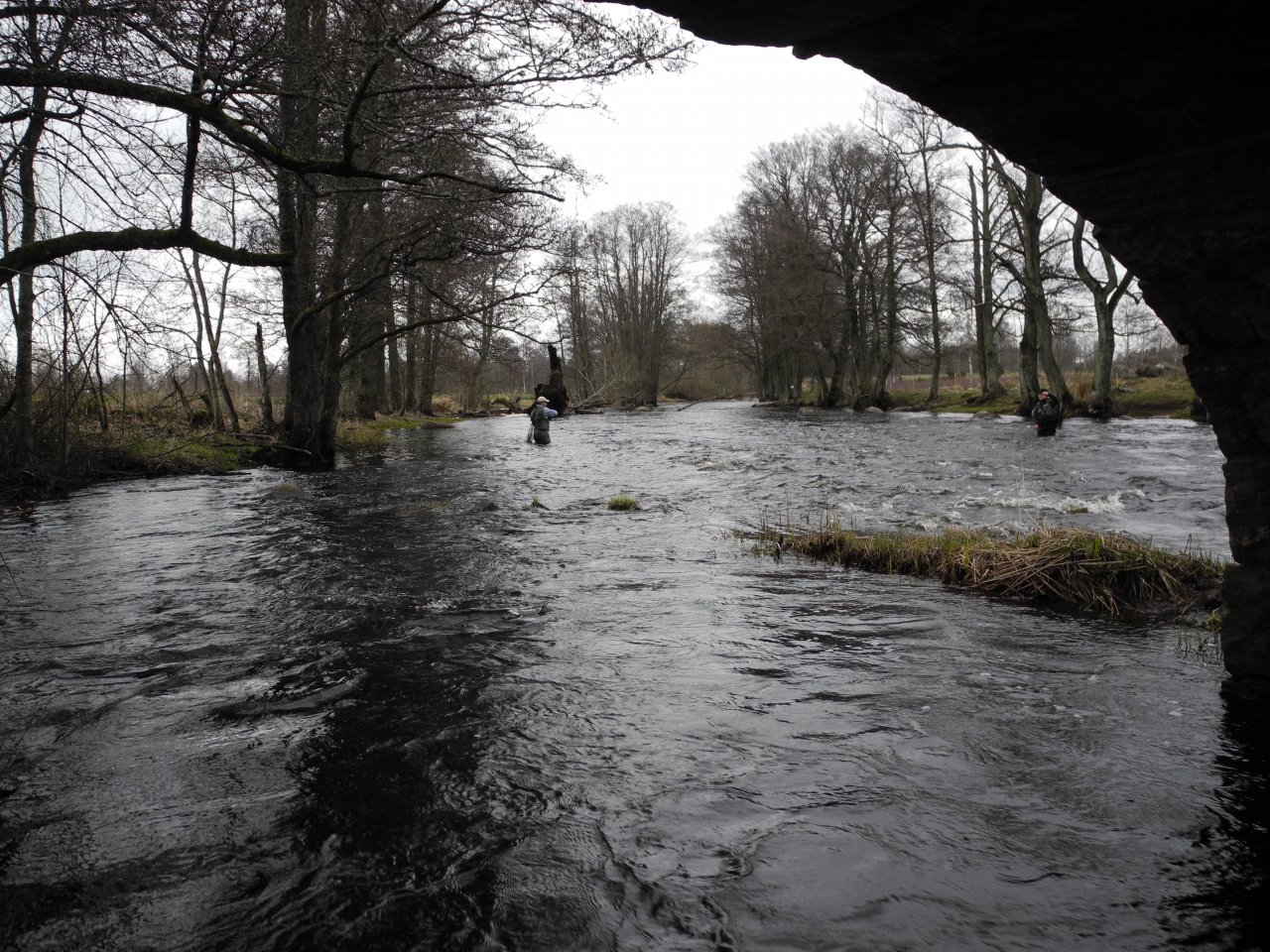 From under the bridge