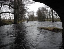 From under the bridge