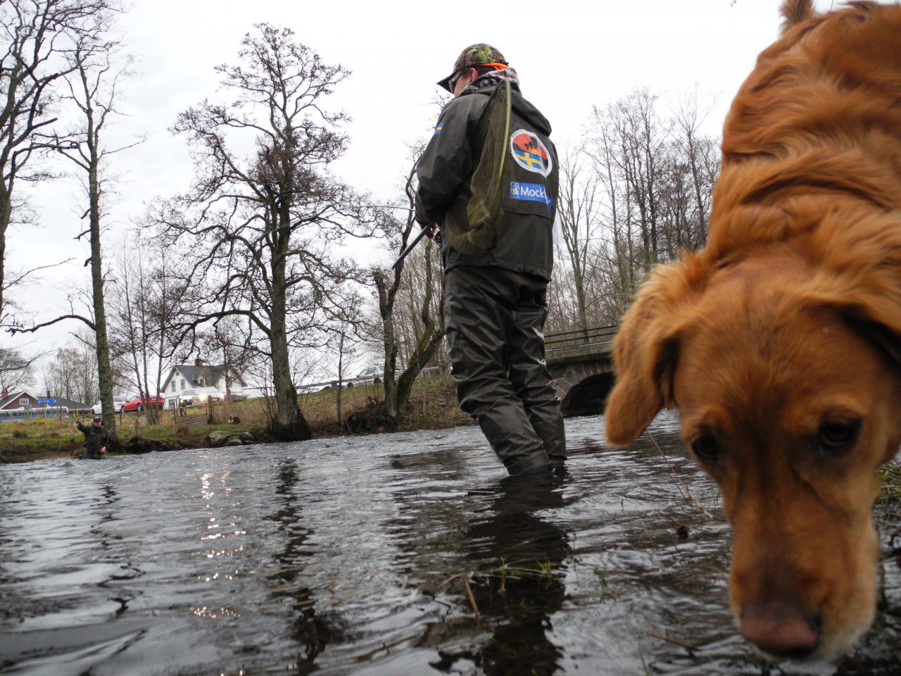 Flyfisherman and dog