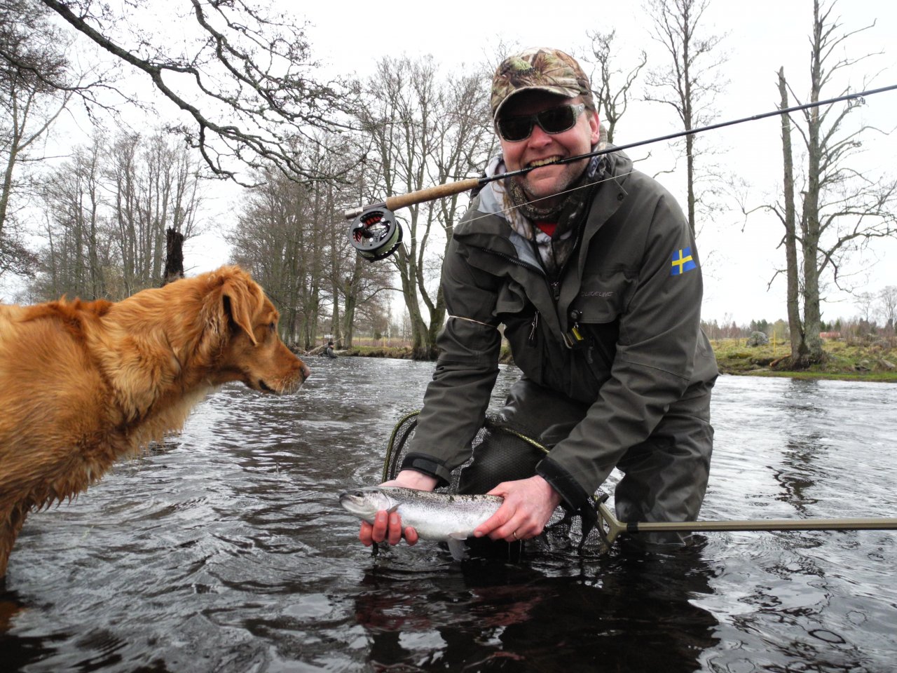 Rainbow trout and dog