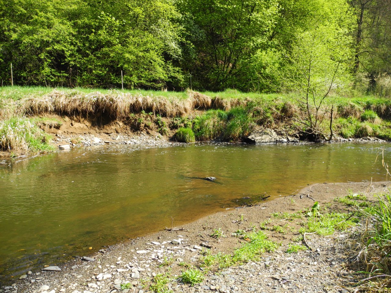 St�ela under Rab�tejn Castle