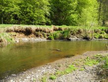 Střela under Rabštejn Castle