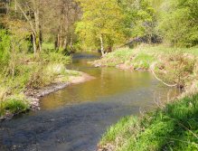 Střela under Rabštejn Castle