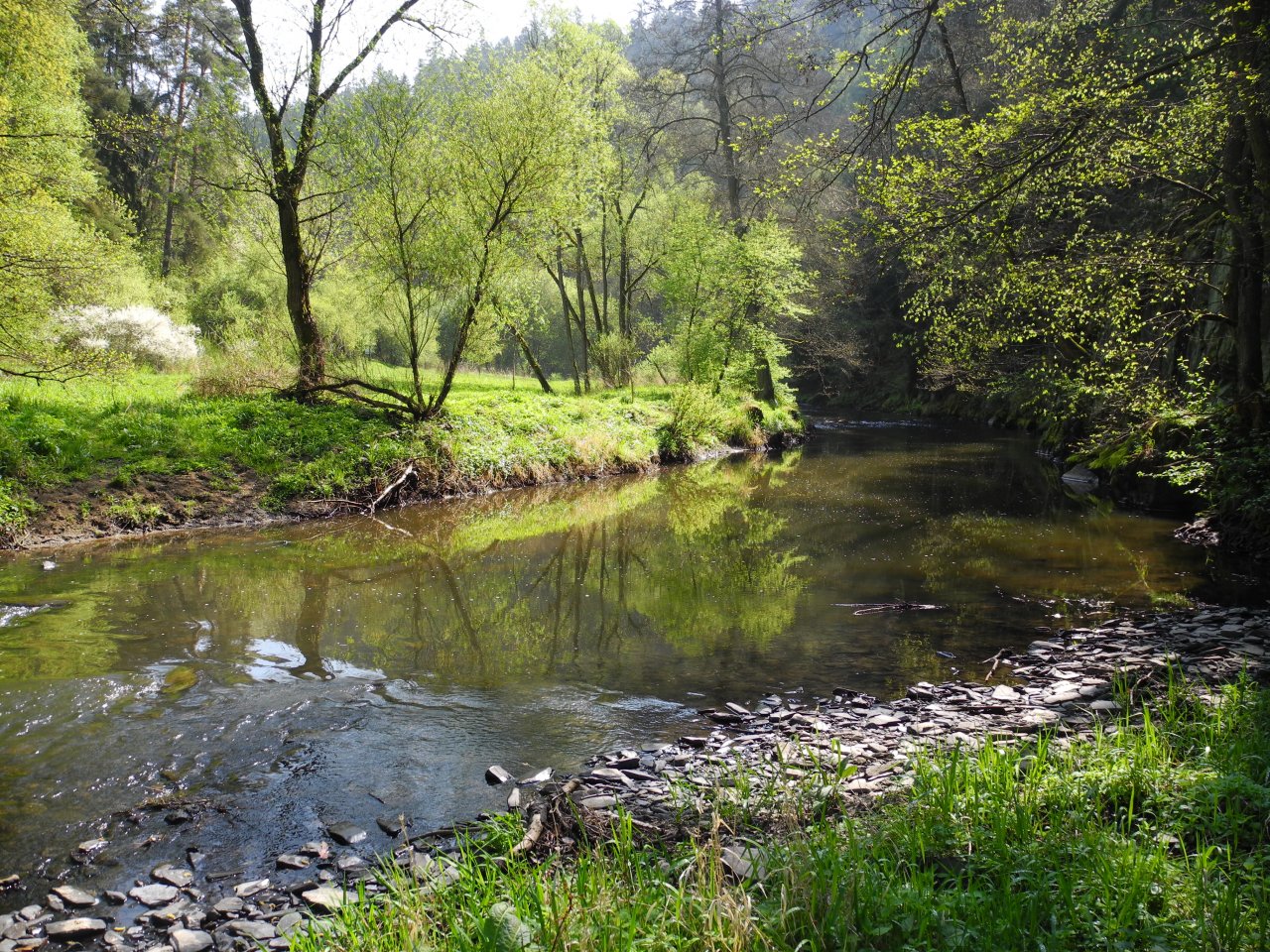 St�ela under Rab�tejn Castle