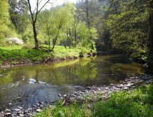 Střela under Rabštejn Castle
